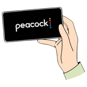 VPNを利用すれば、日本からPeacockTVを視聴することができる