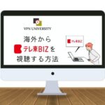 VPNを利用して海外からテレ東BIZを見る方法